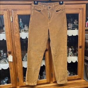 American Eagle Outfitters Brown Corduroy Pants
